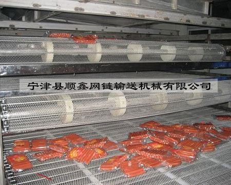 成都食品网带